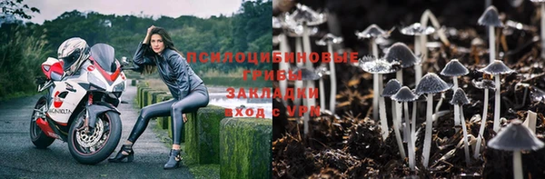 дмт Алзамай
